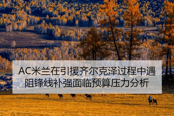 AC米兰在引援齐尔克泽过程中遇阻锋线补强面临预算压力分析