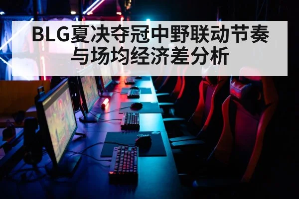 BLG夏决夺冠中野联动节奏与场均经济差分析