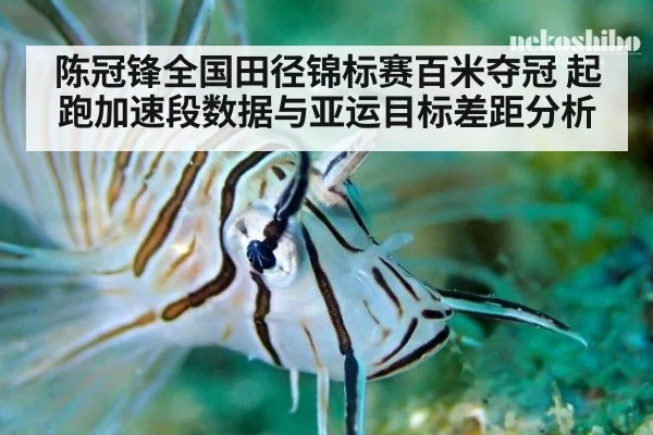 陈冠锋全国田径锦标赛百米夺冠 起跑加速段数据与亚运目标差距分析