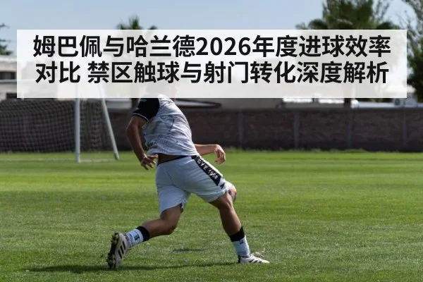 姆巴佩与哈兰德2026年度进球效率对比 禁区触球与射门转化深度解析